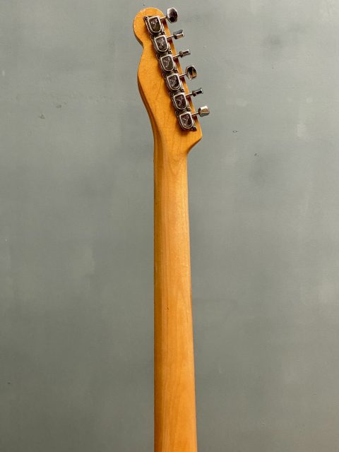 Fender Telecaster Paisley, photo 10