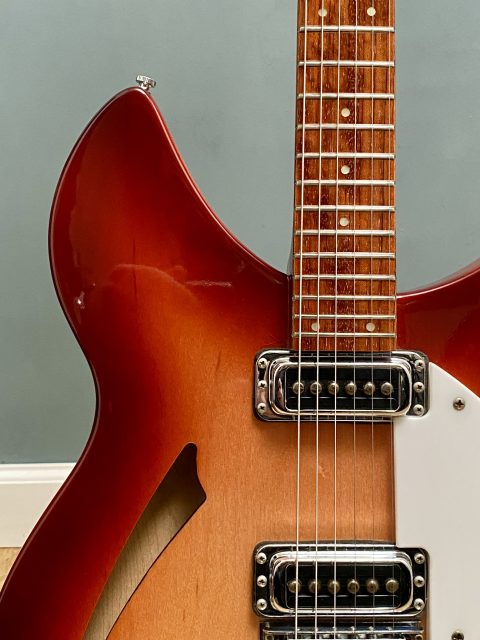 Rickenbacker 330, photo 8